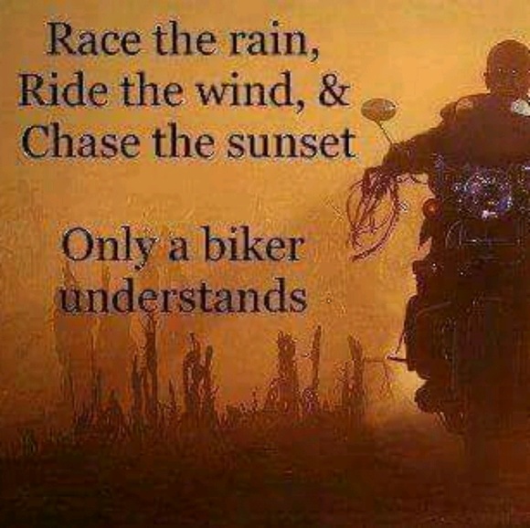 hippiechick0803